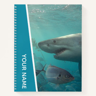 Great White Shark and Fish Australia Notebook