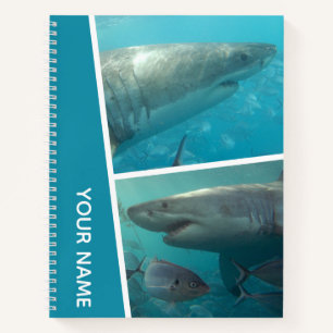 Great White Shark Australia Duo Photo Collage Notebook