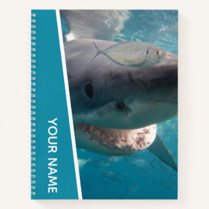 Great White Shark Australia Smile Teeth Notebook