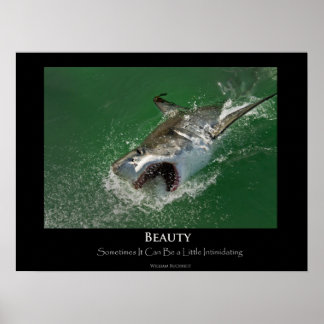 Great White Shark "Beauty" Poster