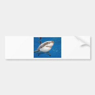 Great White Shark Bumper Sticker