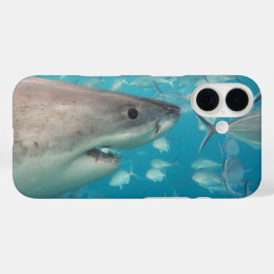 Great White Shark iPhone 16 Case