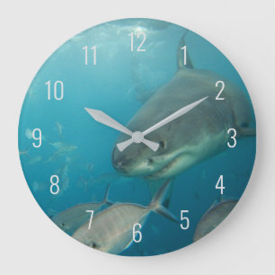 Great White Shark Close Up Underwater Australia Large Clock