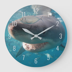 Great White Shark Close Up Underwater Australia Large Clock