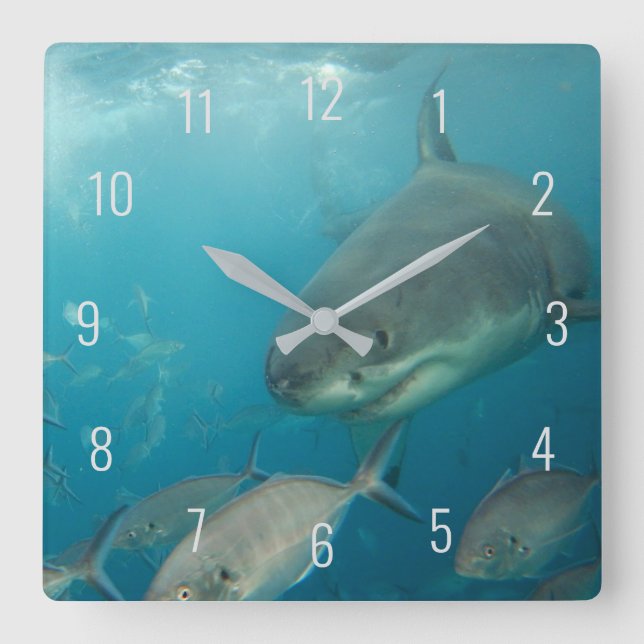 Great White Shark Close Up Underwater Australia Square Wall Clock (Front)