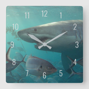 Great White Shark Close Up Underwater Australia Square Wall Clock