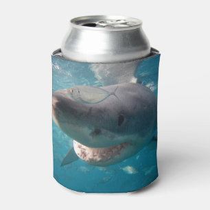 Great White Shark Close-up Underwater Cooler