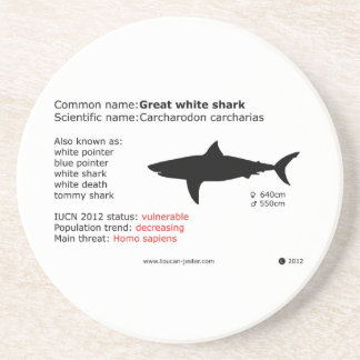 Great white shark coaster