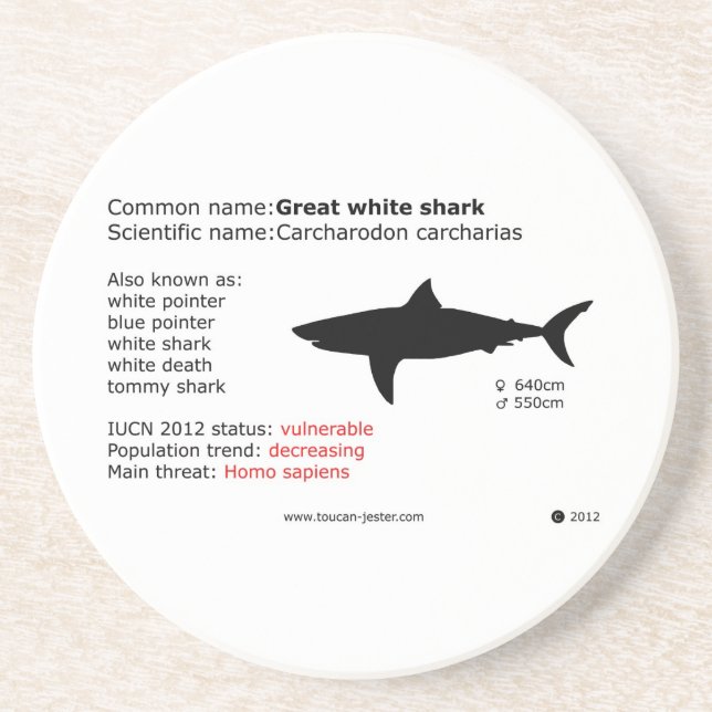 Great white shark coaster (Front)
