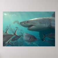 Great White Shark & Fish Underwater Landscape