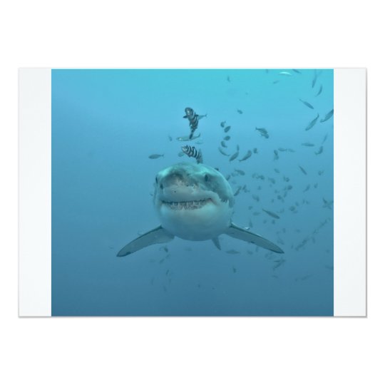 Great White Shark Isla Guadalupe Card