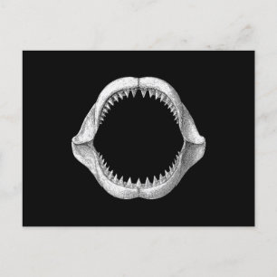 Great White Shark Jaw  Holiday Postcard