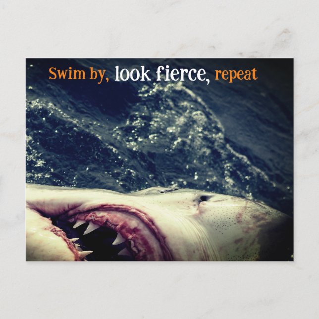 Great white shark jaws holiday postcard (Front)