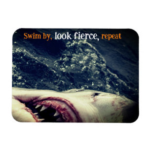 Great white shark jaws magnet