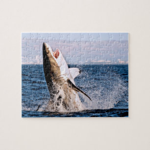 Great White Shark, Jigsaw Puzzle