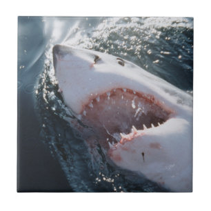 Great White Shark on sea Ceramic Tile