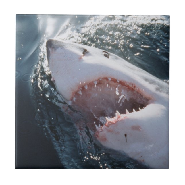 Great White Shark on sea Ceramic Tile (Front)