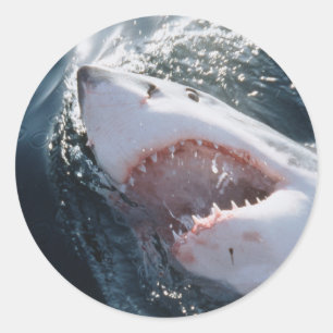 Great White Shark on sea Classic Round Sticker
