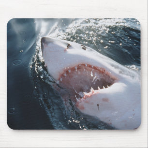 Great White Shark on sea Mouse Pad