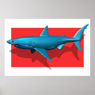 Great White Shark Poster