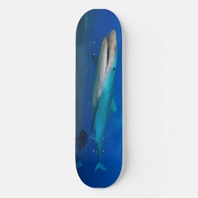 Great White Shark Skateboard (Front)