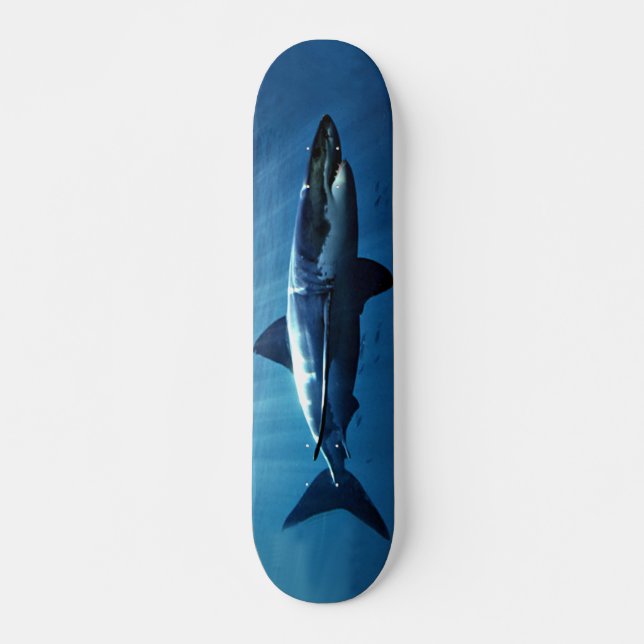 great white shark skateboard (Front)