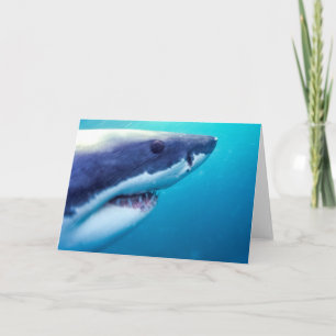 Great White Shark South Africa Card