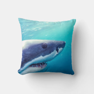 Great White Shark South Africa Cushion