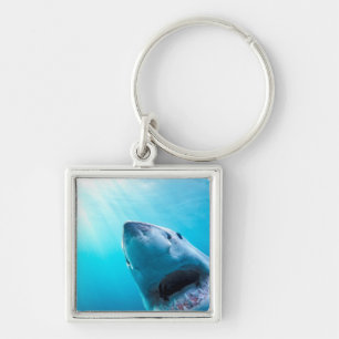 Great White Shark South Africa Key Ring