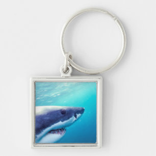 Great White Shark   South Africa Key Ring