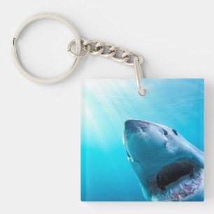 Great White Shark   South Africa Key Ring