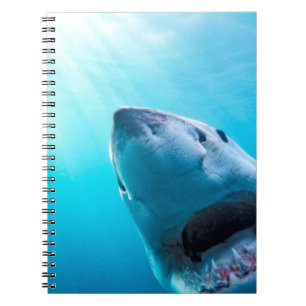 Great White Shark South Africa Notebook