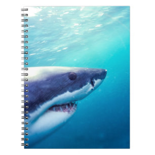 Great White Shark   South Africa Notebook