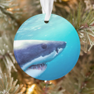 Great White Shark   South Africa Ornament