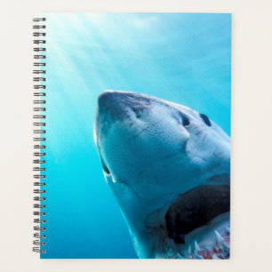 Great White Shark   South Africa Planner