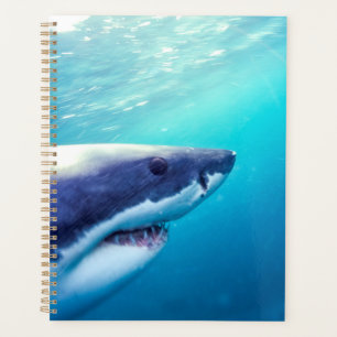 Great White Shark   South Africa Planner