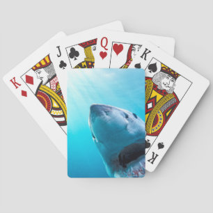 Great White Shark South Africa Playing Cards