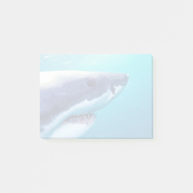 Great White Shark | South Africa Post-it Notes (Front)