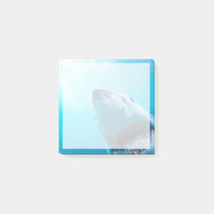 Great White Shark South Africa Post-it Notes