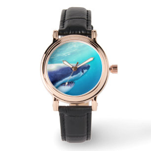 Great White Shark South Africa Watch