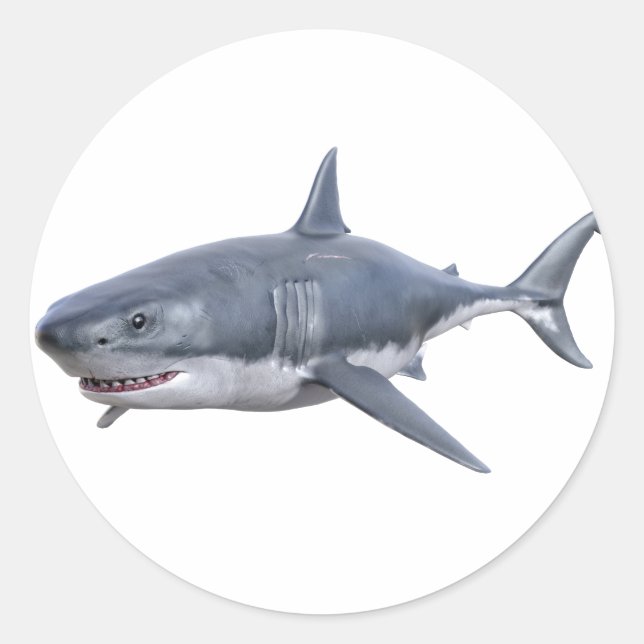 great white shark swimming to the right classic round sticker (Front)