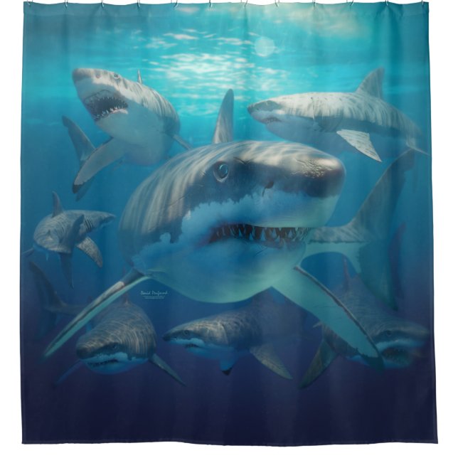 Great White Sharks Shower Curtain (Front)