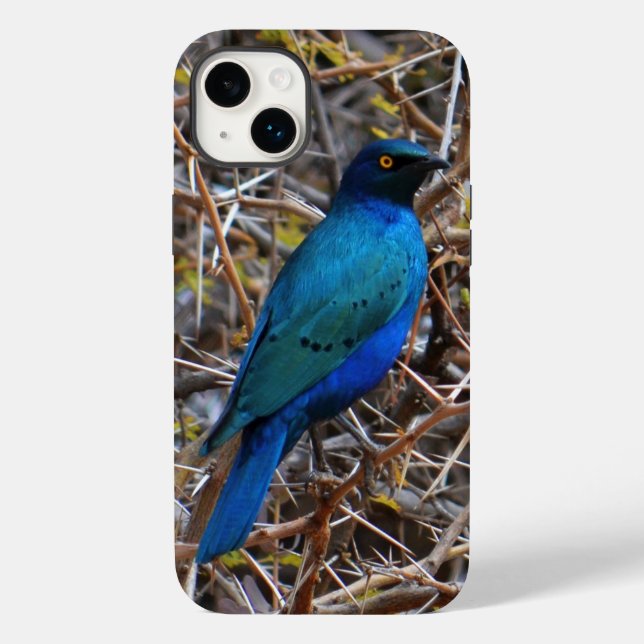 Greater Blue Eared Starling bird Case-Mate iPhone Case (Back)