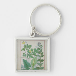 Greater Celandine or Poppy Key Ring