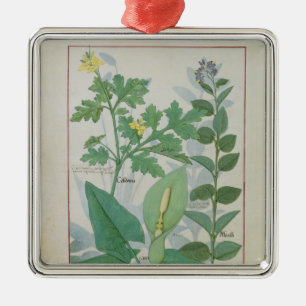 Greater Celandine or Poppy Metal Ornament