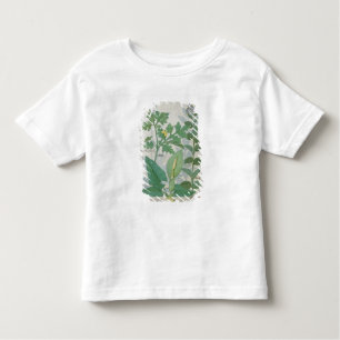 Greater Celandine or Poppy Toddler T-Shirt