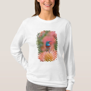 Greater Double-collared Sunbird T-Shirt