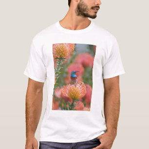 Greater Double-collared Sunbird T-Shirt