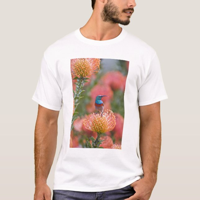 Greater Double-collared Sunbird T-Shirt (Front)