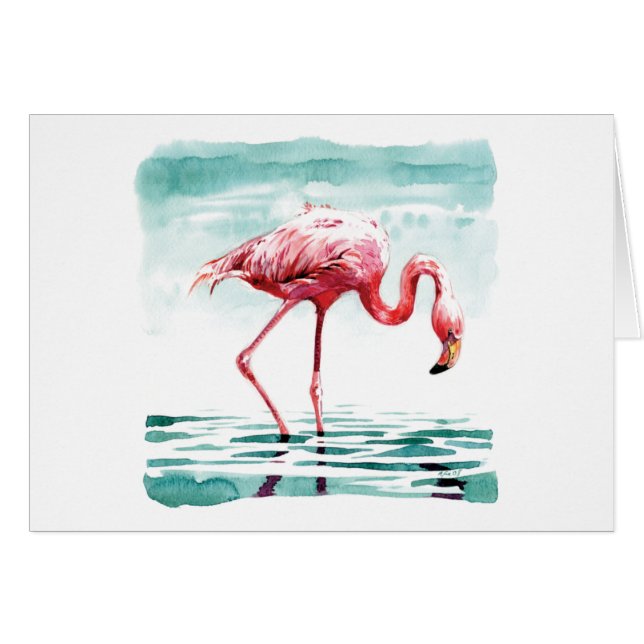 Greater flamingo (Front Horizontal)
